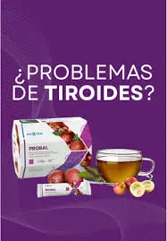 01- PROBAL